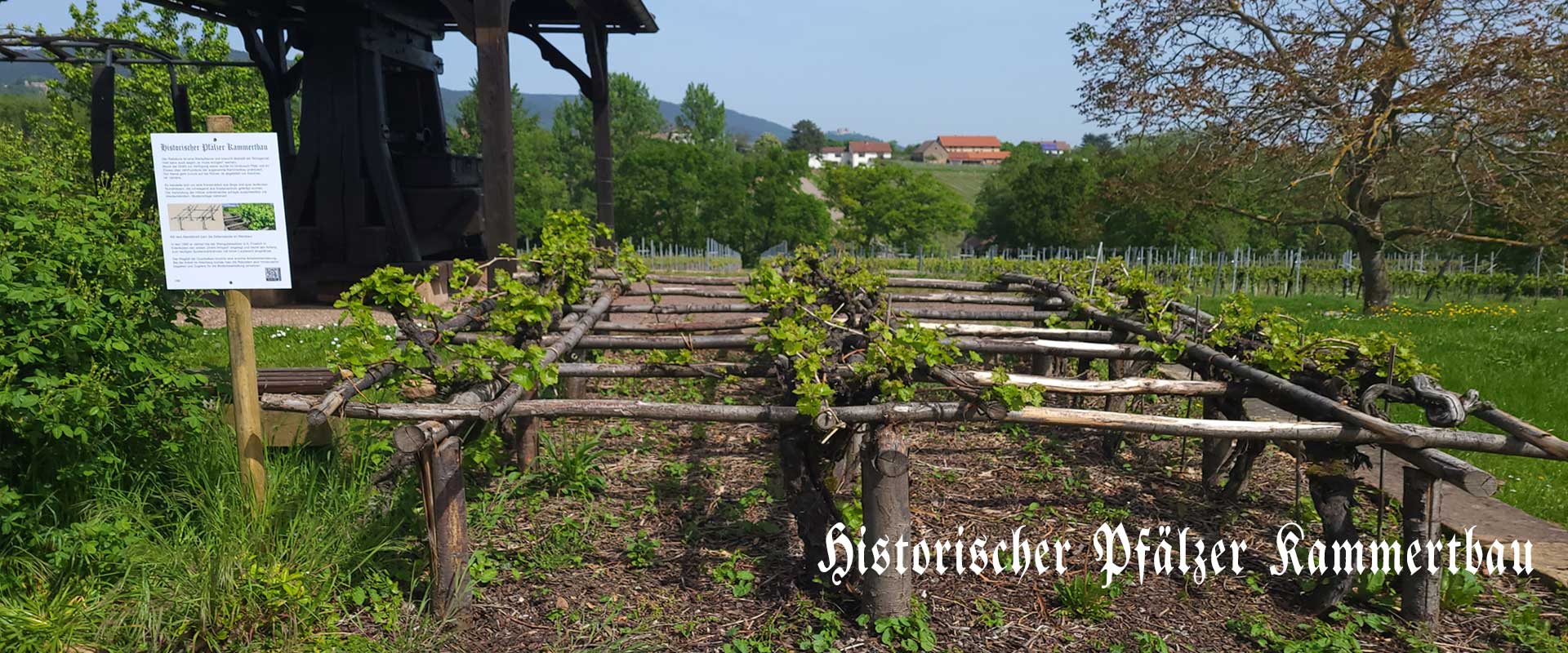 Historischer Kammertbau