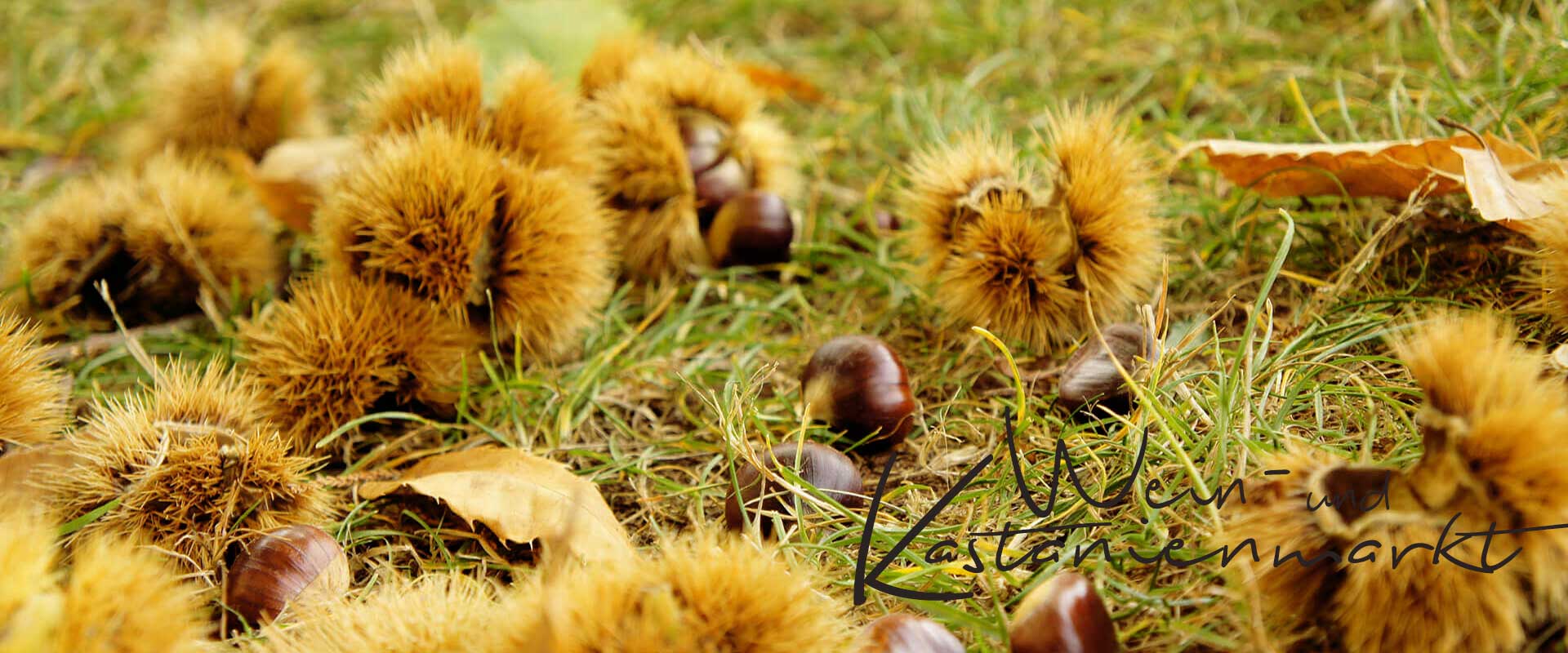 Wein- und Kastanienmarkt