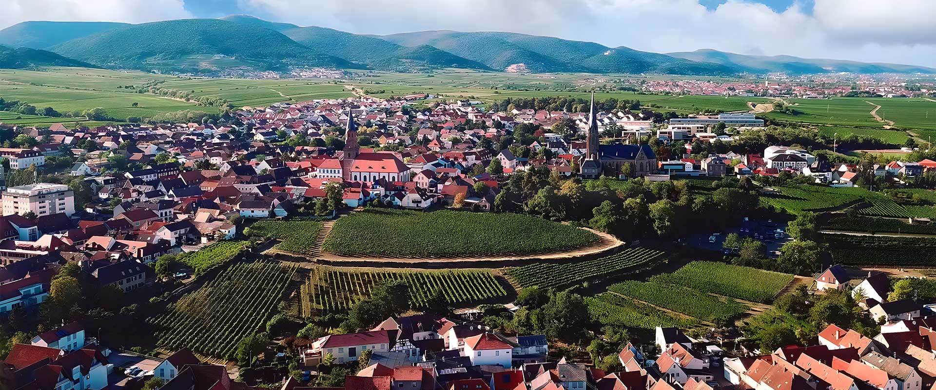 Luftaufnahme von Edenkoben