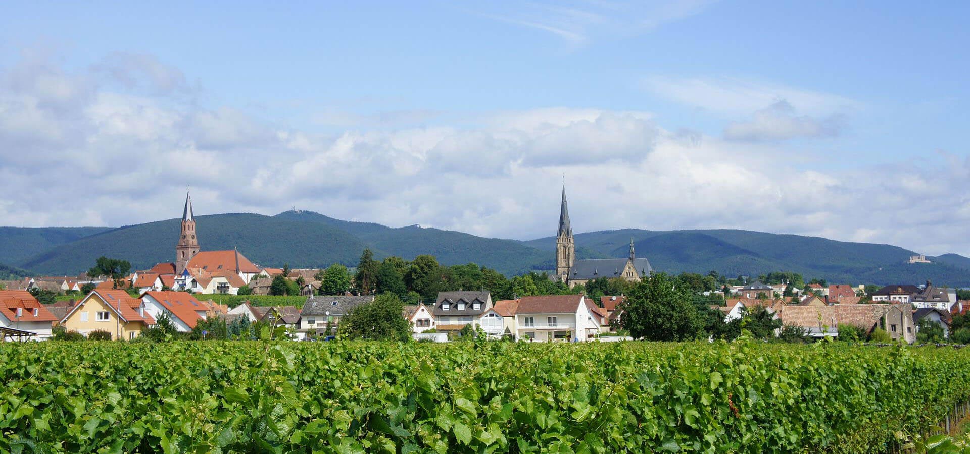 Edenkoben
