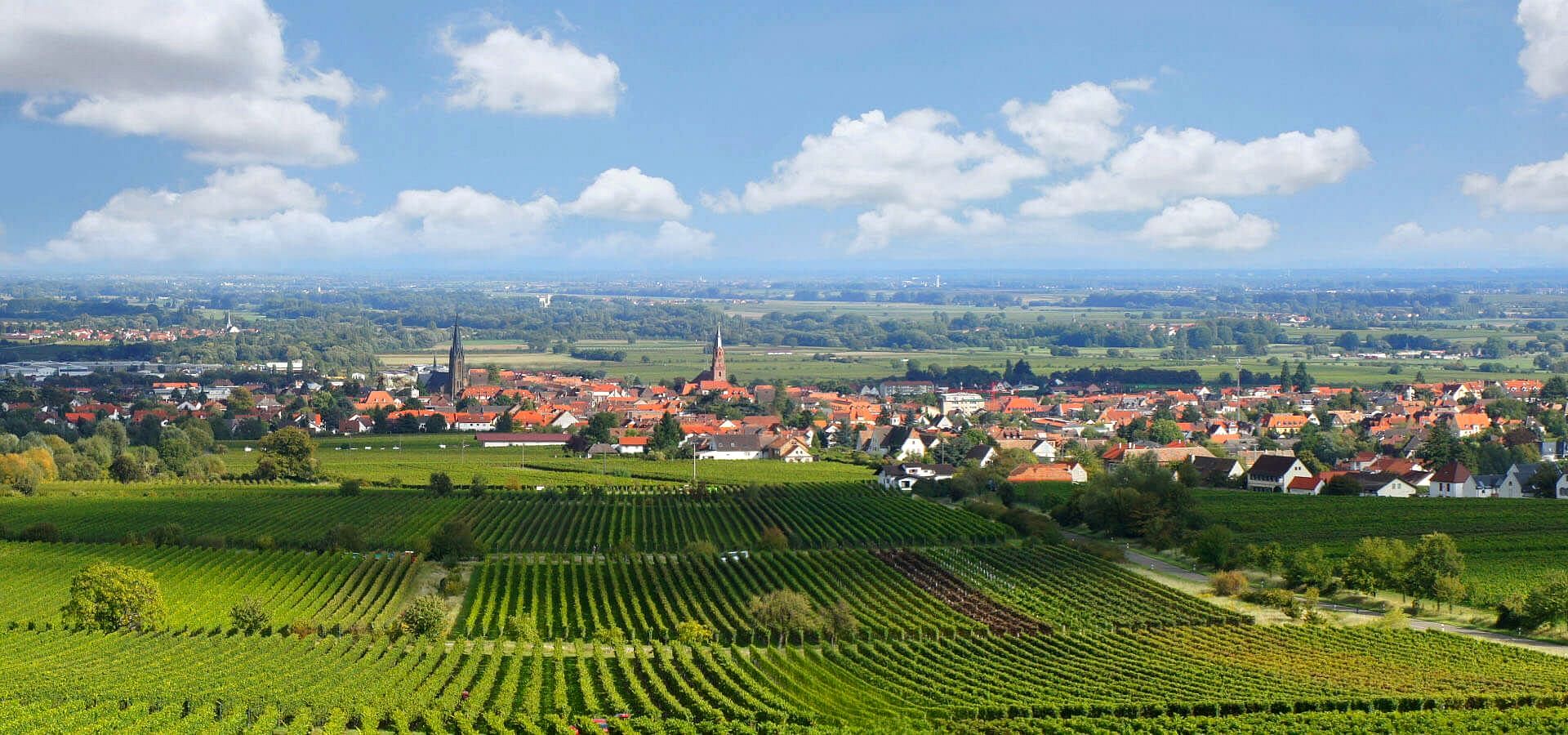 Edenkoben