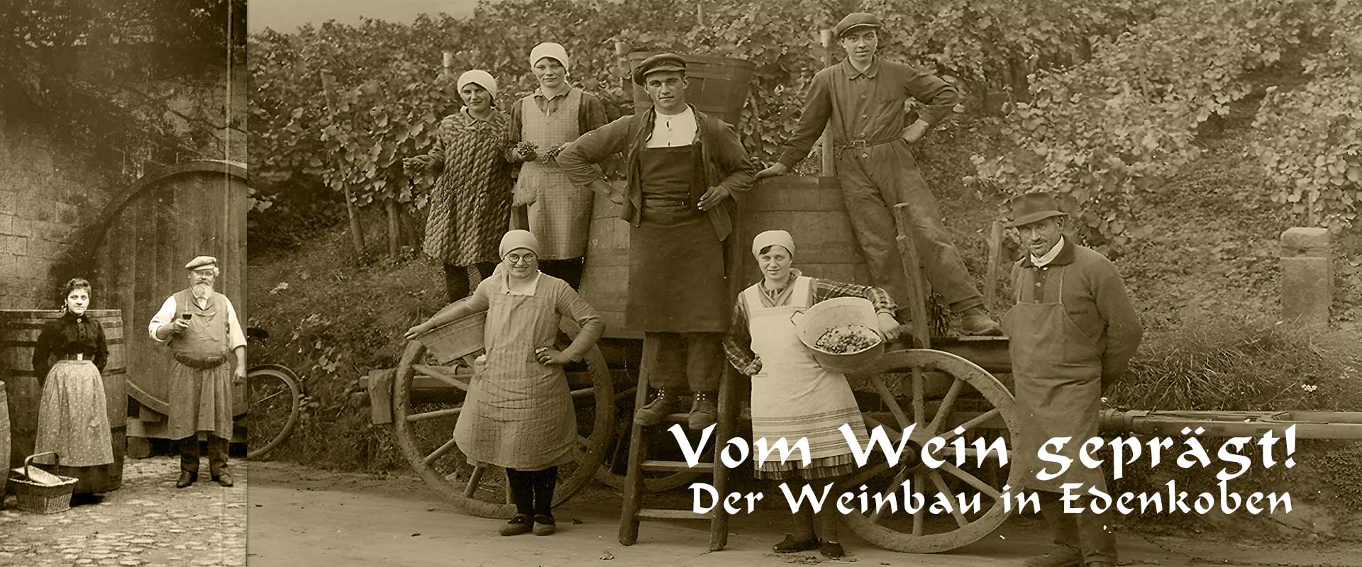 Weinbau in Edenkoben