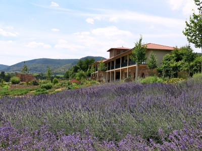 hintergrund___copy_1