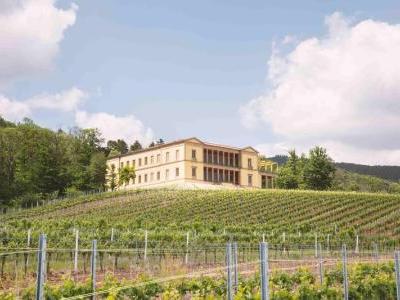 Villa Musica SWR Quartett